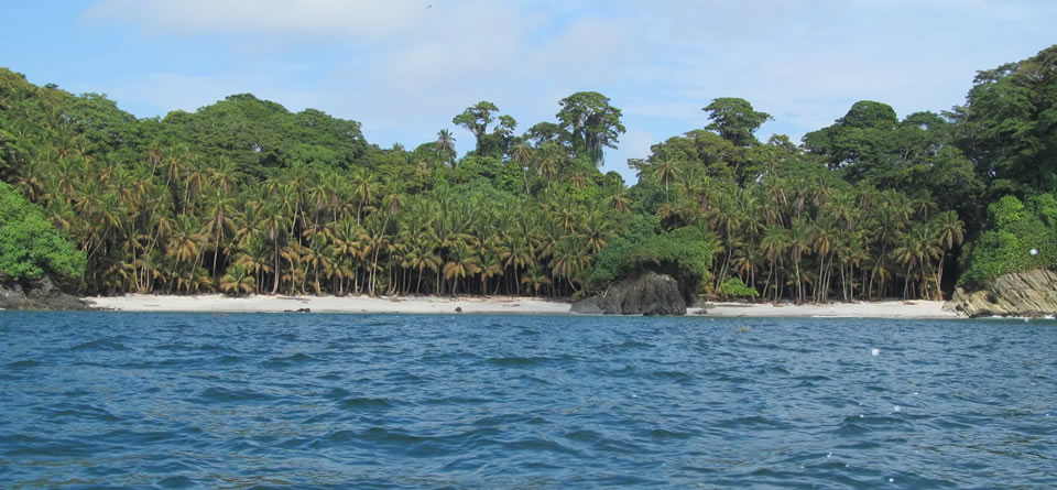 Gorgona y Gorgonilla