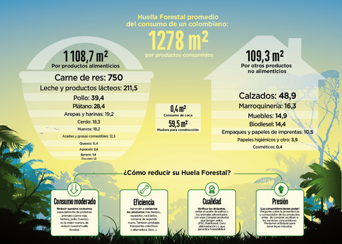 HUELLA FORESTAL COLOMBIA