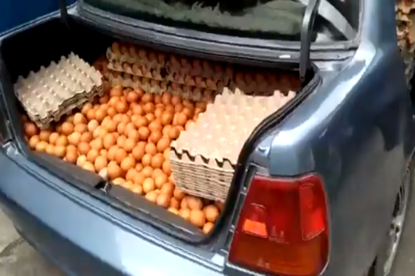 Huevos 1 ok