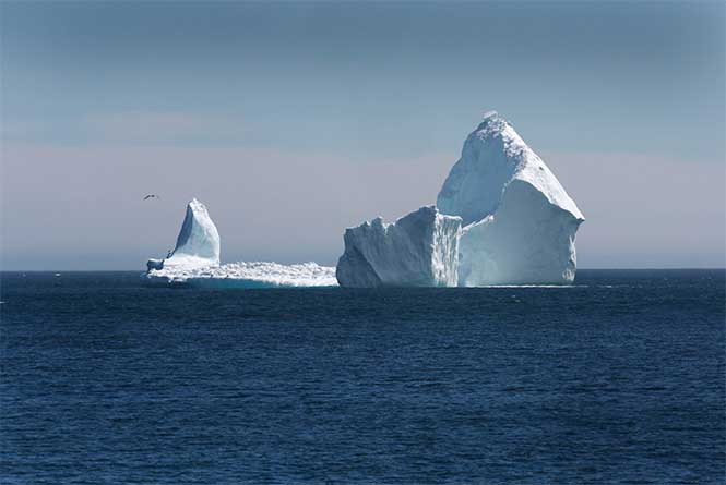 Iceberg Alley