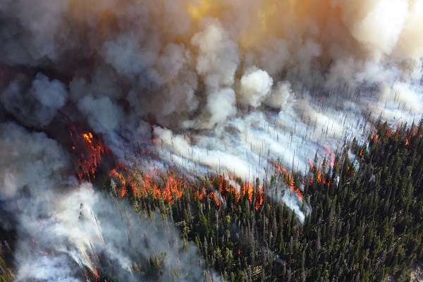 Incendios forestales sudamerica