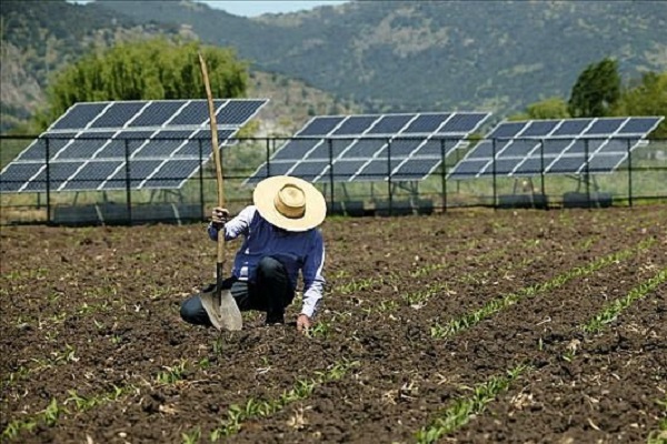 Inversiones Verdes2