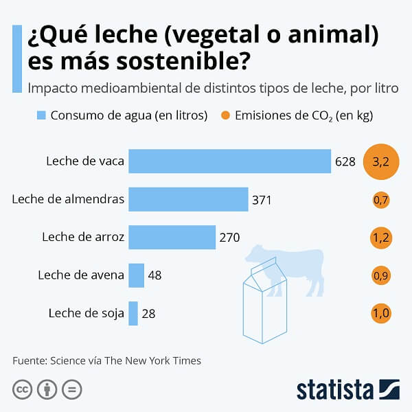 Leche de vaca vs leche vegetal