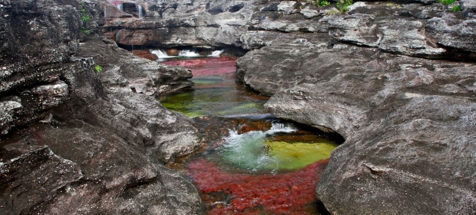 Macarena cano cristales