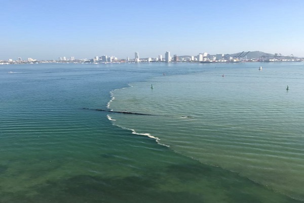 Mancha en Cartagena