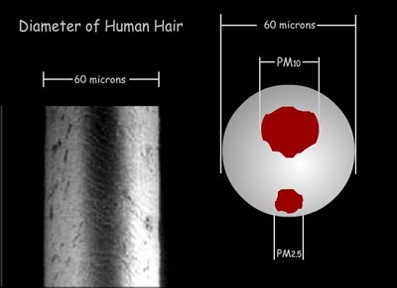 Material Particulado