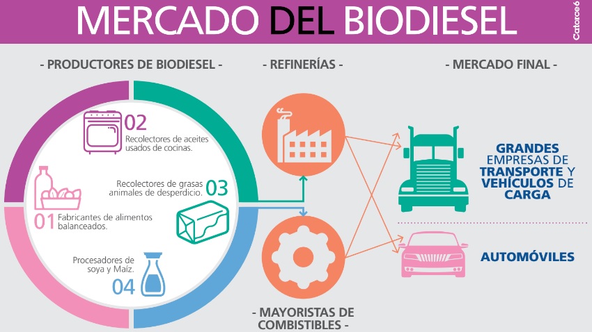 Mercado del Biodiesel