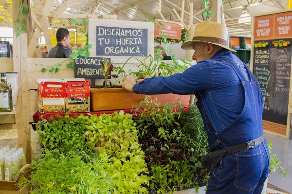 Negocios verdes colombia