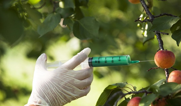 Organismos geneticamente modificados colombia