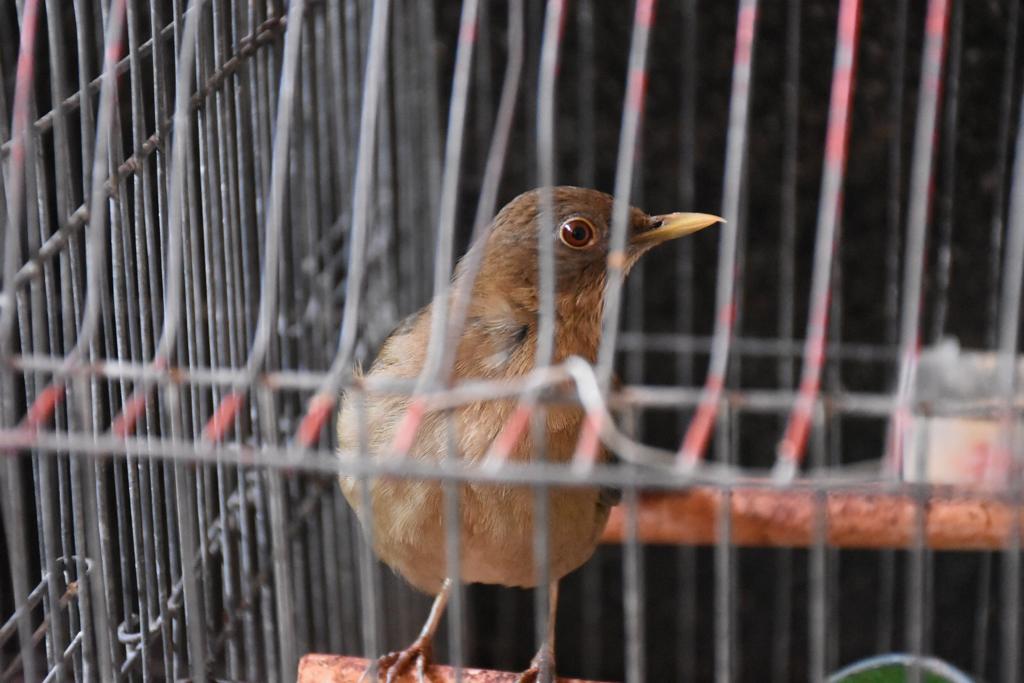 PHOTO 2019 10 23 08 32 34 7