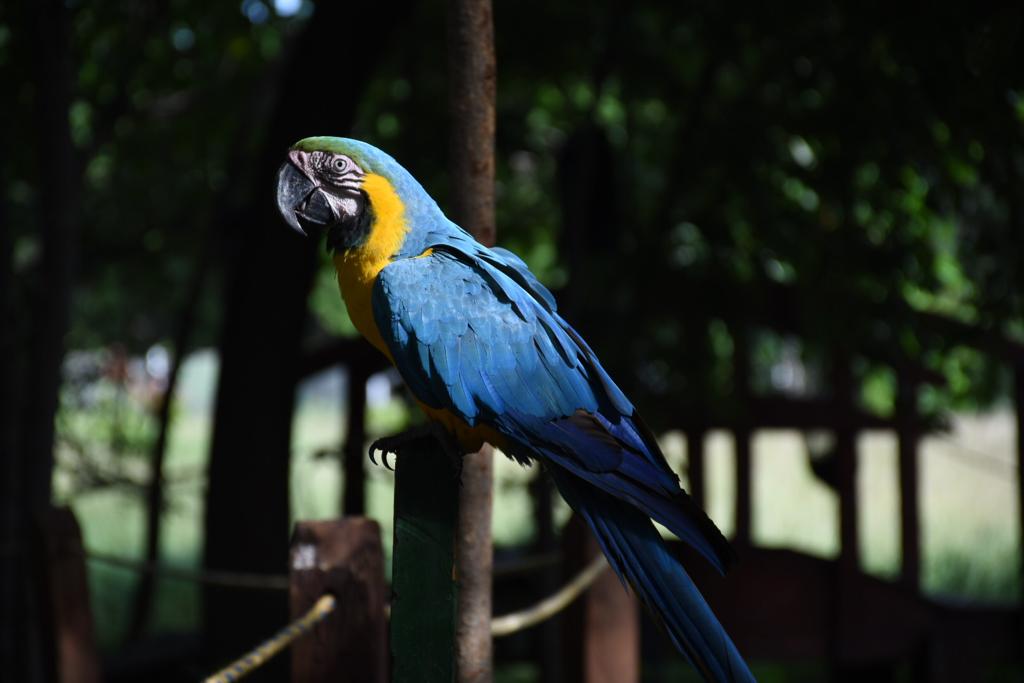 PHOTO 2019 10 23 08 32 34 8