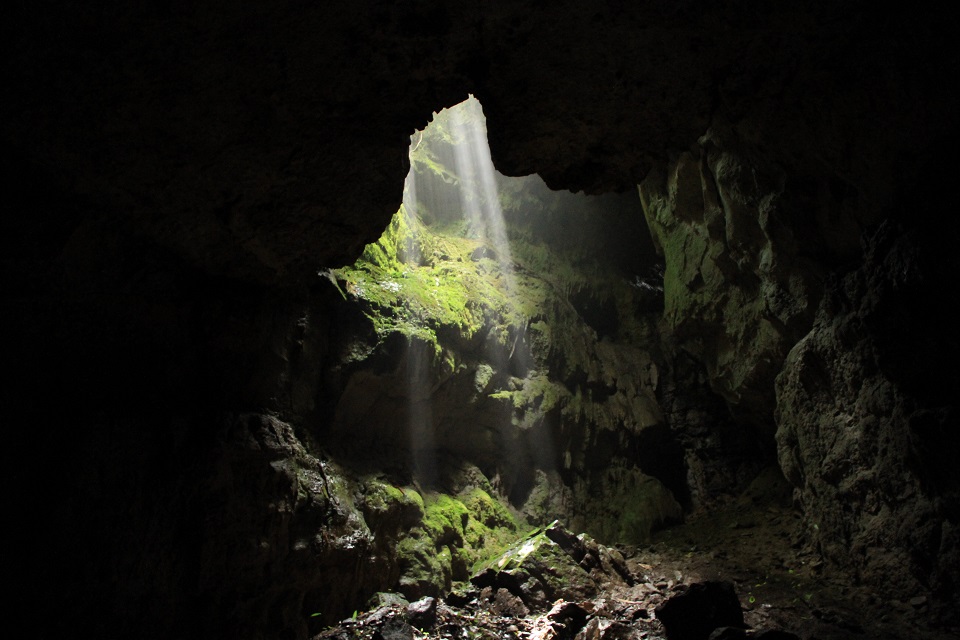 PNN Cueva de los Guacharos Cueva del Hoyo David Paez ArchivoParques 16
