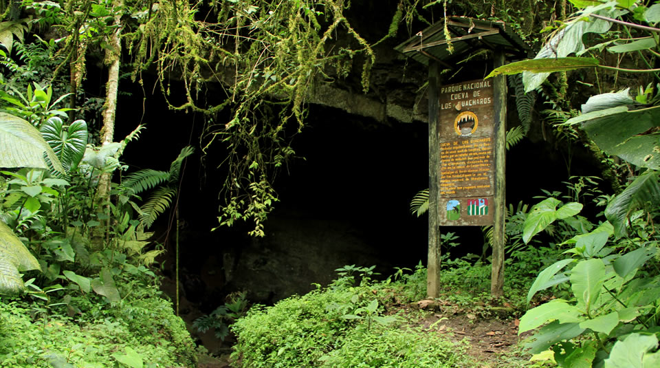 PNN Cueva de los Guacharos Infraestructura David Paez ArchivoParques 10