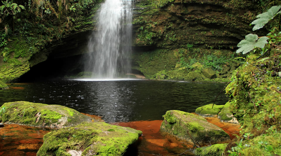 PNN Cueva de los Guacharos Lindosa David Paez ArchivoParques 3