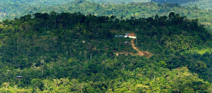 PRODUCTORES AMAZONIA600