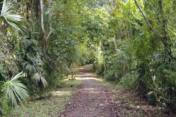 Paisaje 1