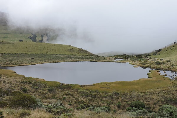 Paramos Colombia