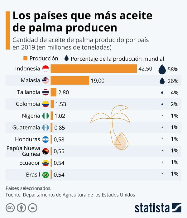 Produccion de aceite de palma