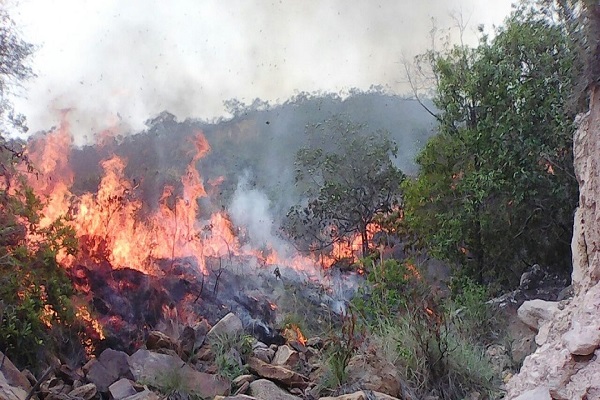 Quimbo Incendio
