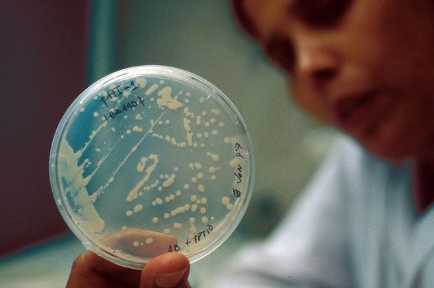 Resistencia bacteriana