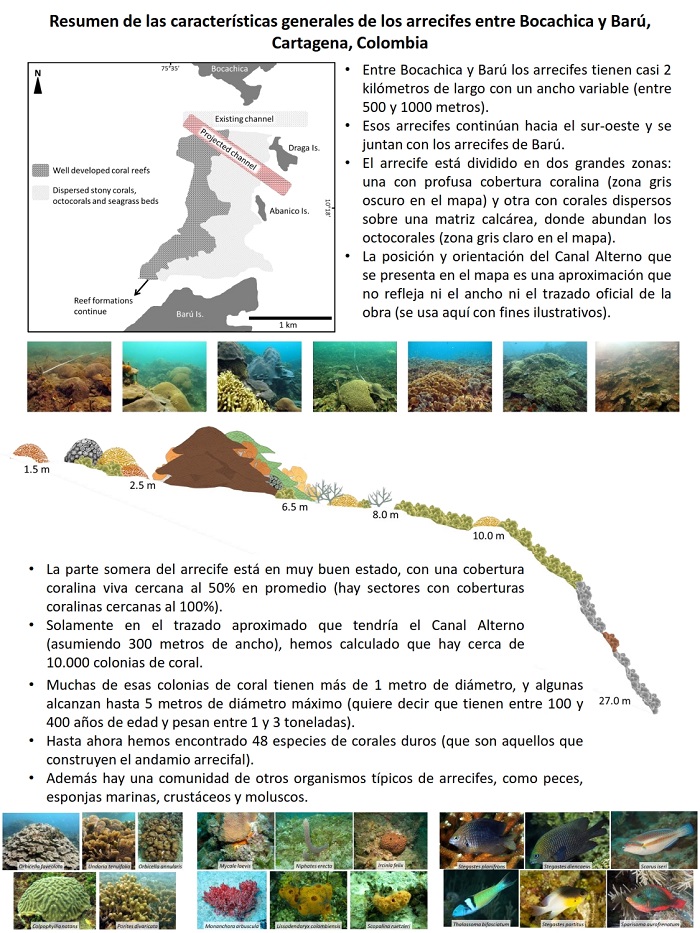 Resumen arrecifes Bocachica Barú Vicepresidente 001