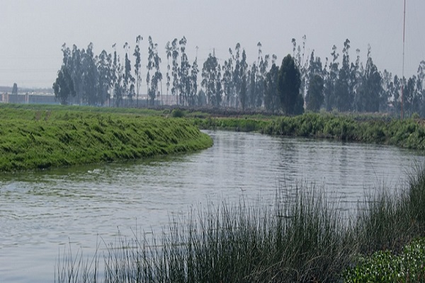 Río Bogotá28