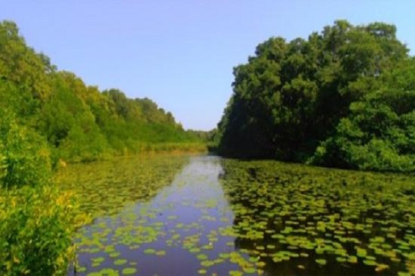 Río Bquilla