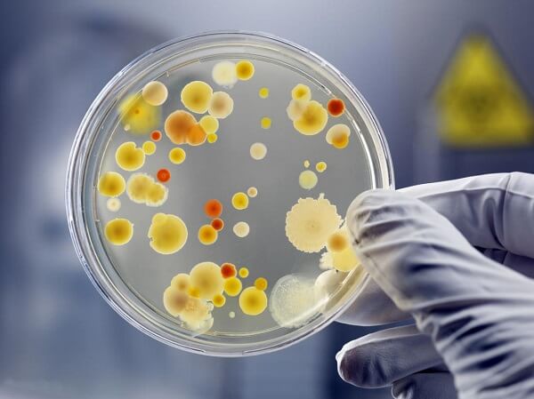 Tamaño mundo microscopico