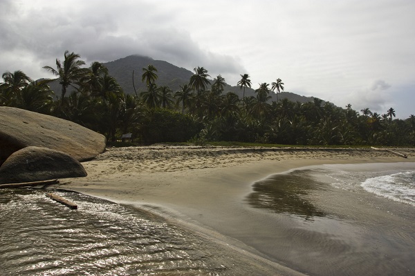 Tayrona600cierre