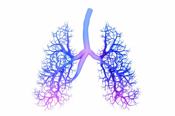 Tipos de respiración