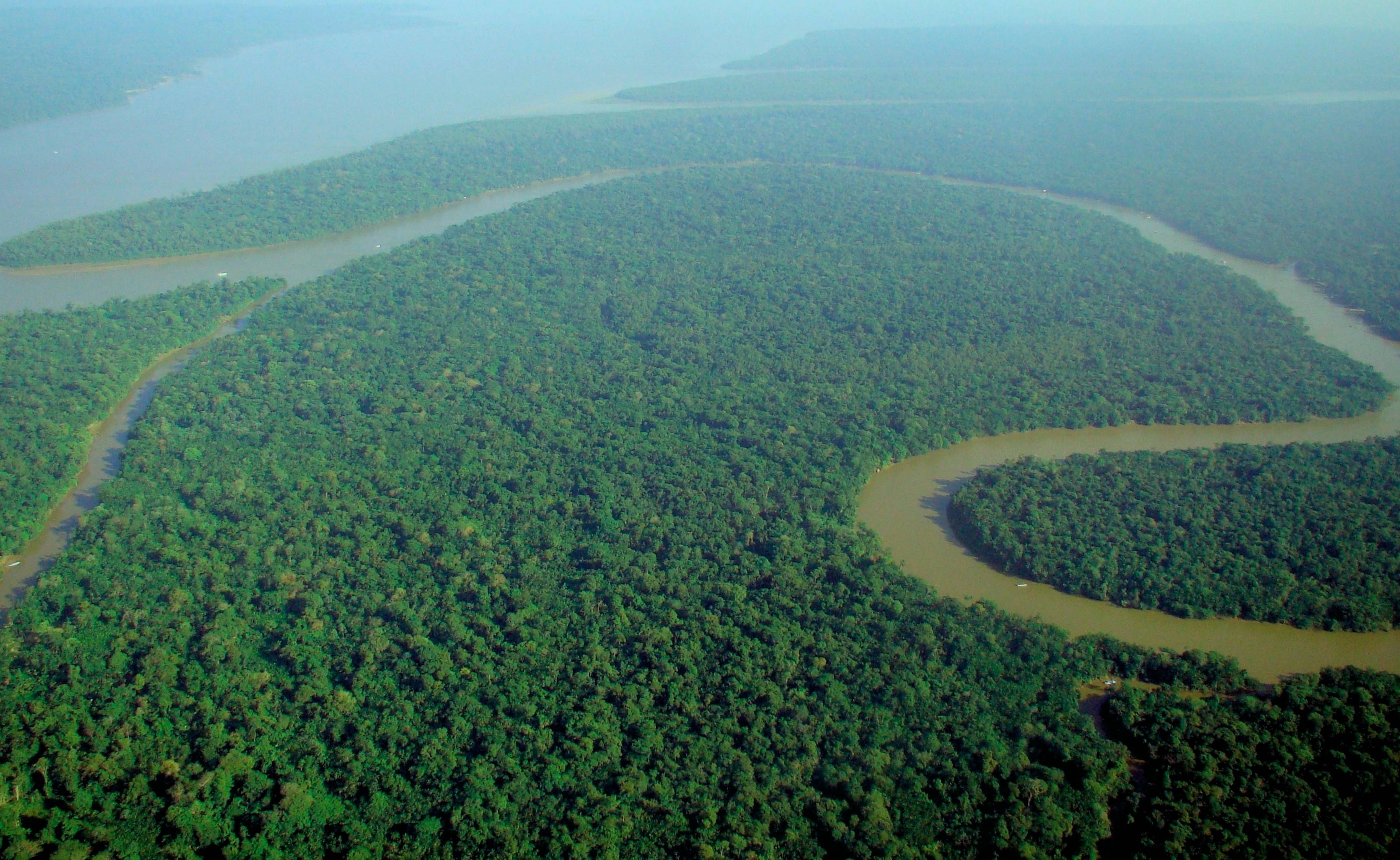 amazonas colombia