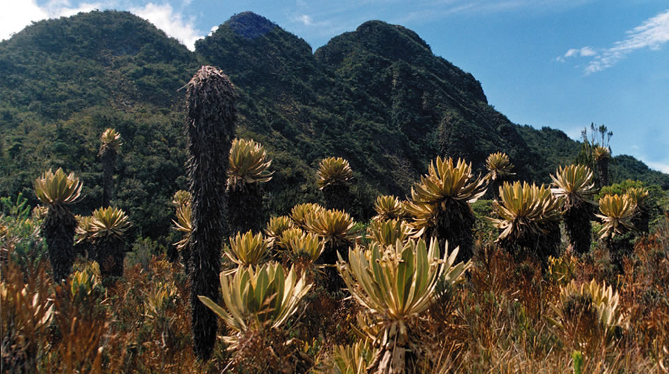 archivo parques nacionales