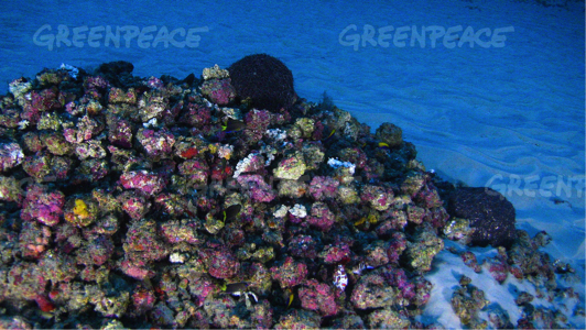 arrecife2