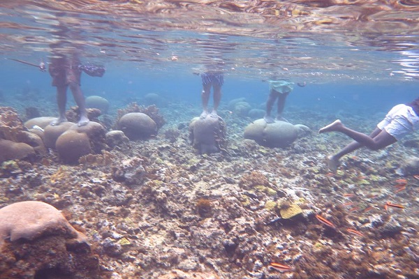 Fotos de turistas parados sobre arrecifes protegidos en San Andrés ...