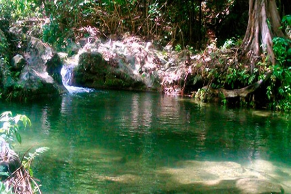 arroyo bruno