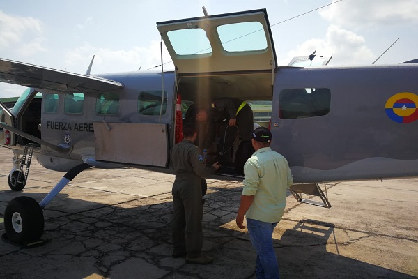 avionocelote600