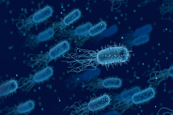 bacteria 3662695 1280