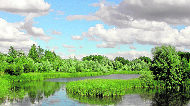 bancos habitat