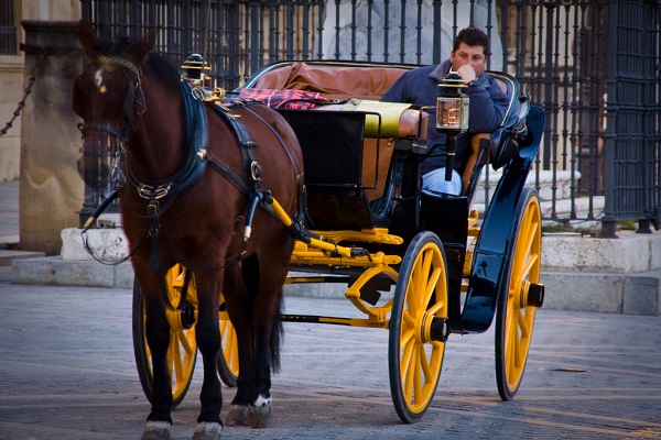 caballoseñor600