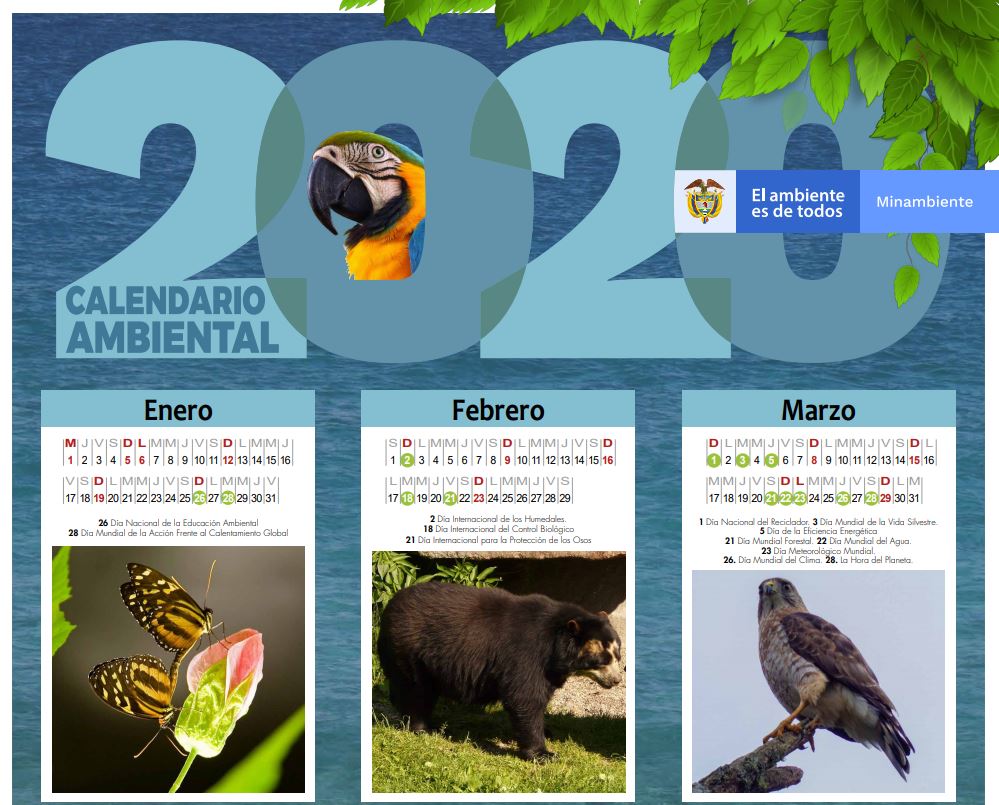 calendario1