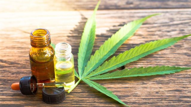 cannabis medicinal terapeutico diariojuridico 1