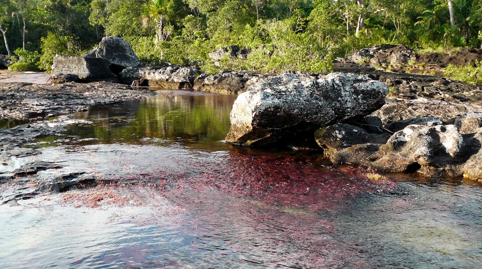 caño cristales