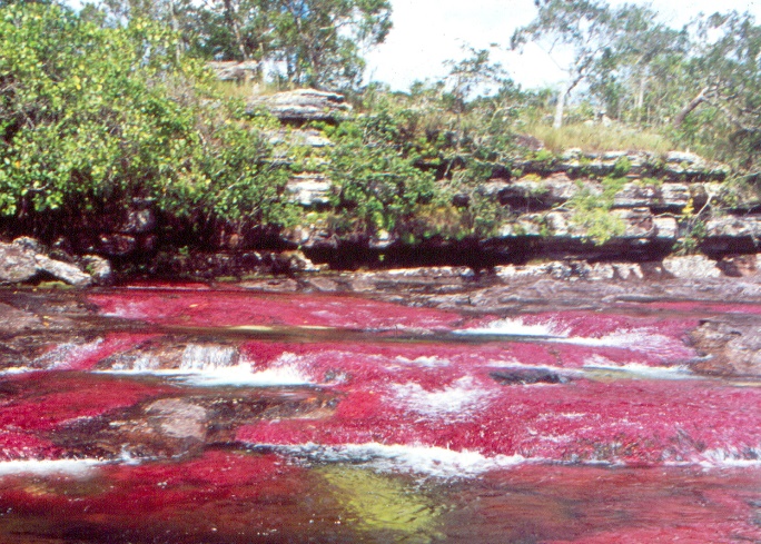 caño cristales