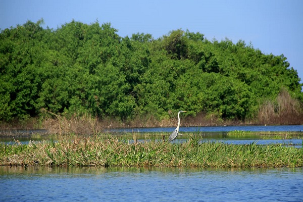 cienaga grande de santa marta parques nacionales