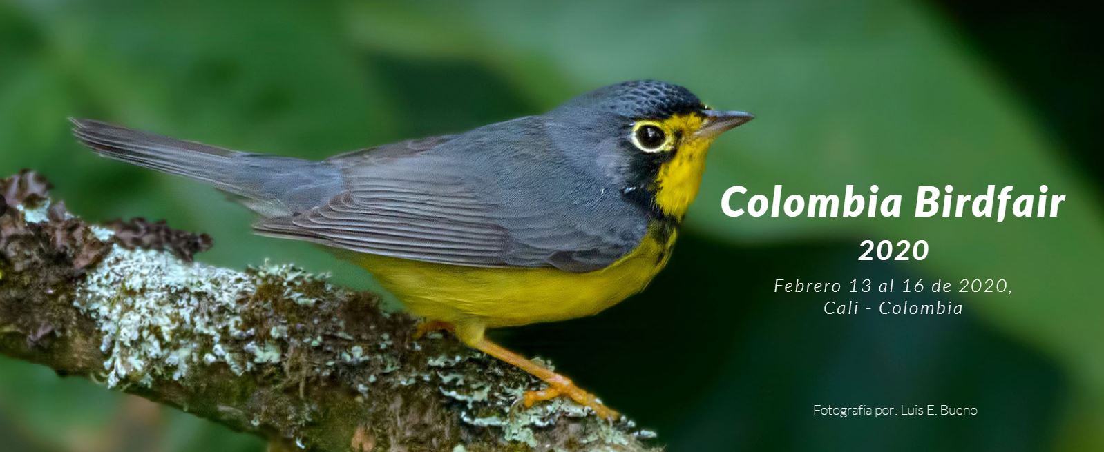 colombiabirdfair