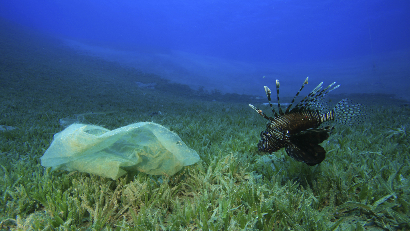 como nuestra basura afectando oceano 1440 08