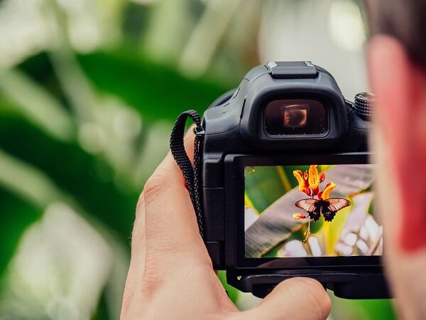 concurso fotografia naturaleza