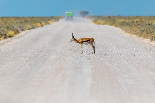 conectividad natural