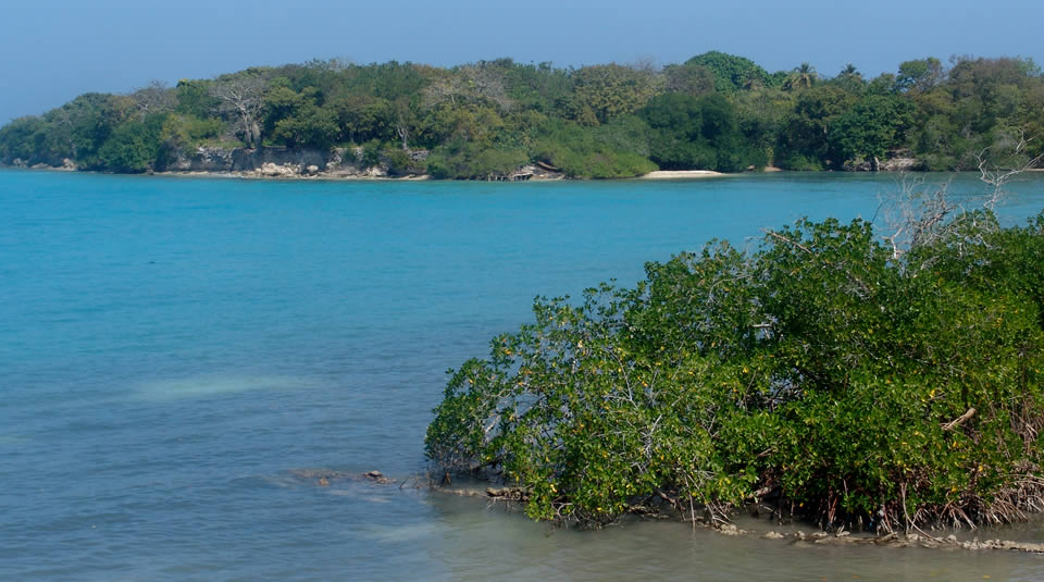 coralesderosario