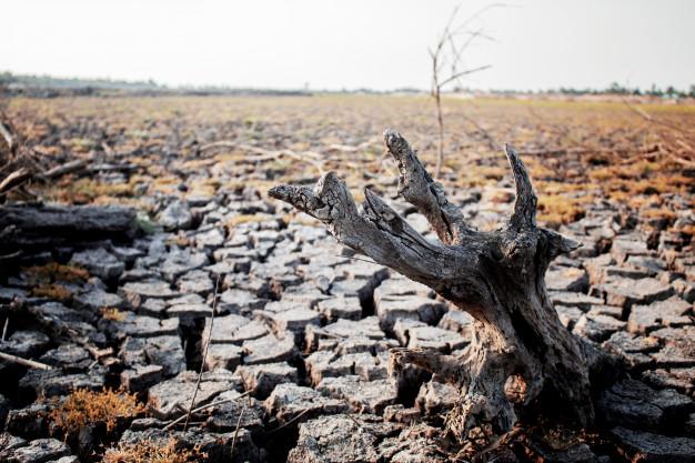 Minambiente abrió inscripción a curso virtual gratuito sobre cambio  climático